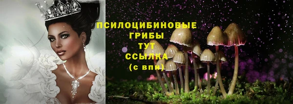 сатива Балабаново